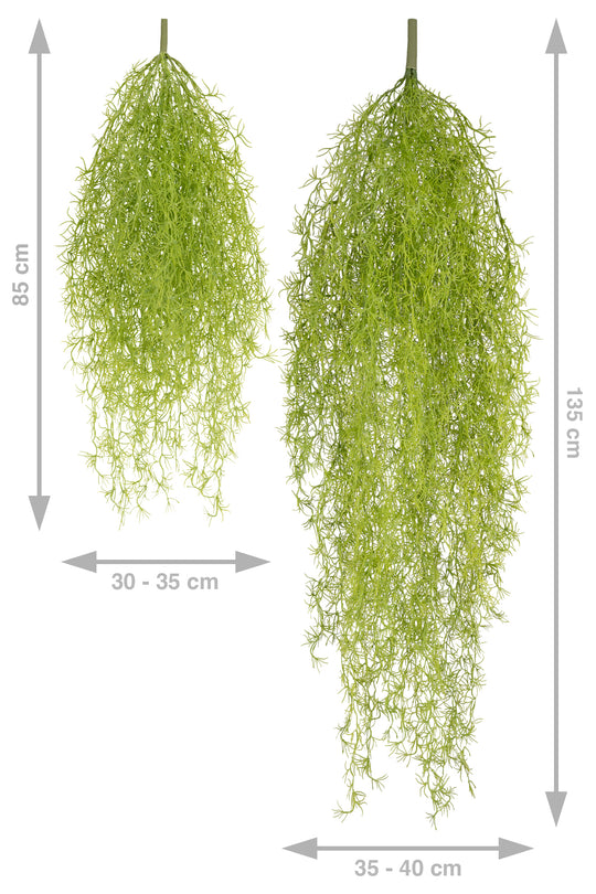 Planta curgatoare Long hair (tillandsia) 85 cm verde primavara