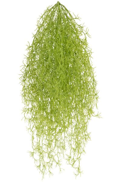 Planta curgatoare Long hair (tillandsia) 85 cm verde primavara