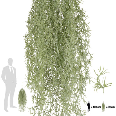 Planta curgatoare Long hair (tillandsia) 90 cm verde deschis