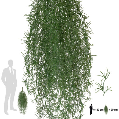 Planta curgatoare Long hair (tillandsia) 90 cm verde padure