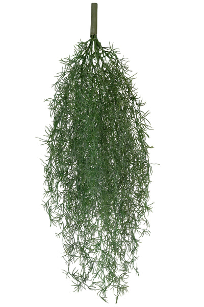 Planta curgatoare Long hair (tillandsia) 90 cm verde padure