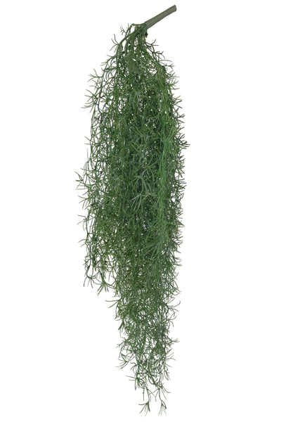 Planta curgatoare Long hair (tillandsia) 90 cm verde padure