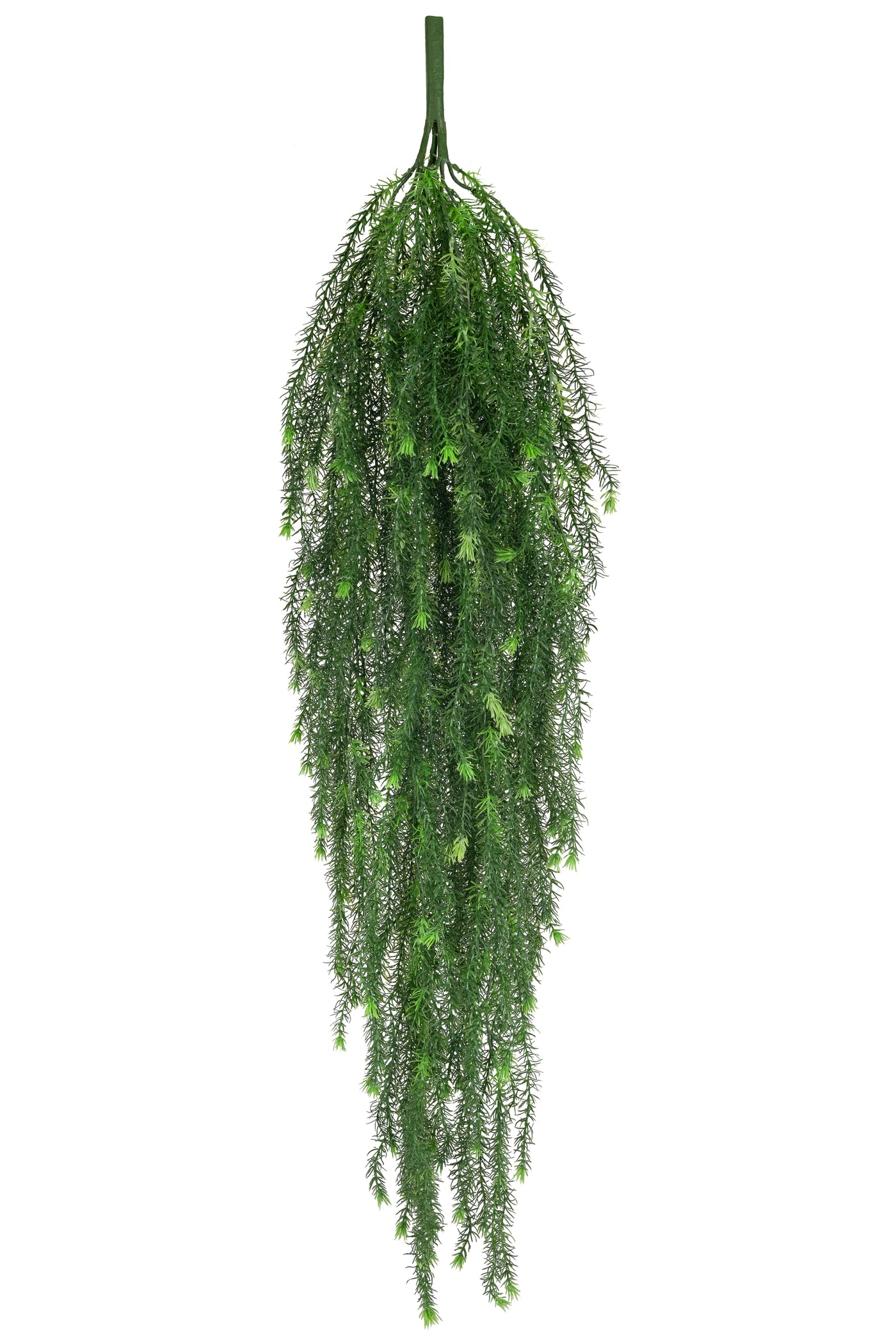 Planta curgatoare rozmarin 135 cm verde inchis