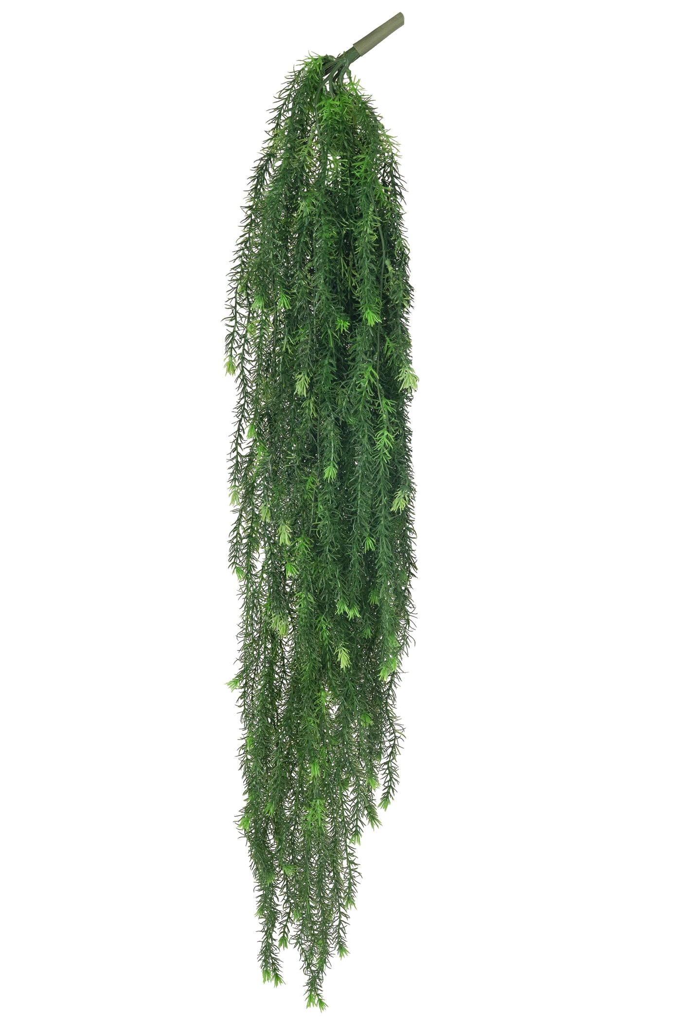 Planta curgatoare rozmarin 135 cm verde inchis