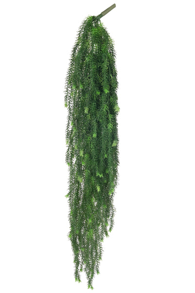 Planta curgatoare rozmarin 135 cm verde inchis