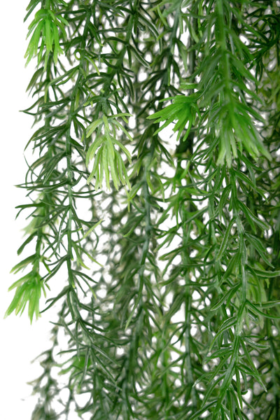 Planta curgatoare rozmarin 135 cm verde inchis