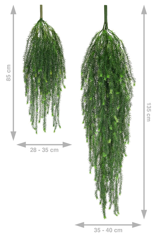 Planta curgatoare rozmarin 85 cm verde inchis