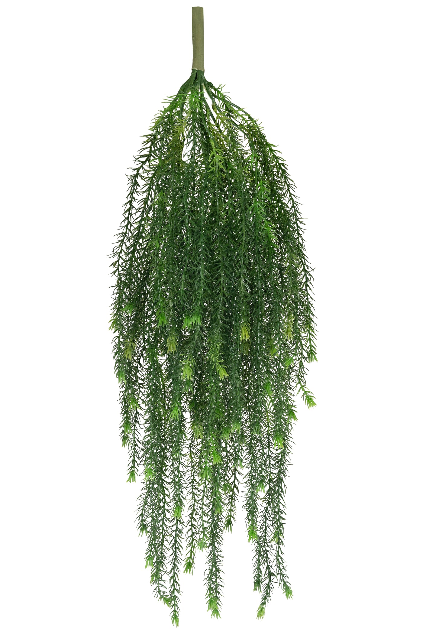 Planta curgatoare rozmarin 85 cm verde inchis