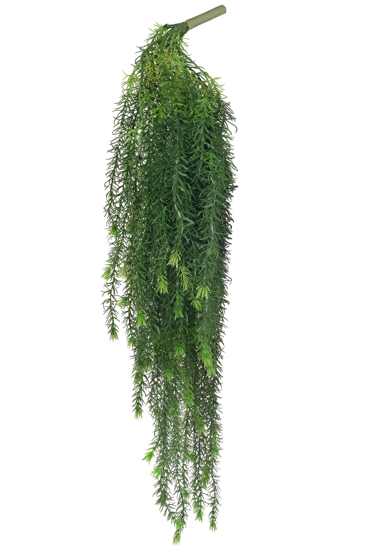 Planta curgatoare rozmarin 85 cm verde inchis