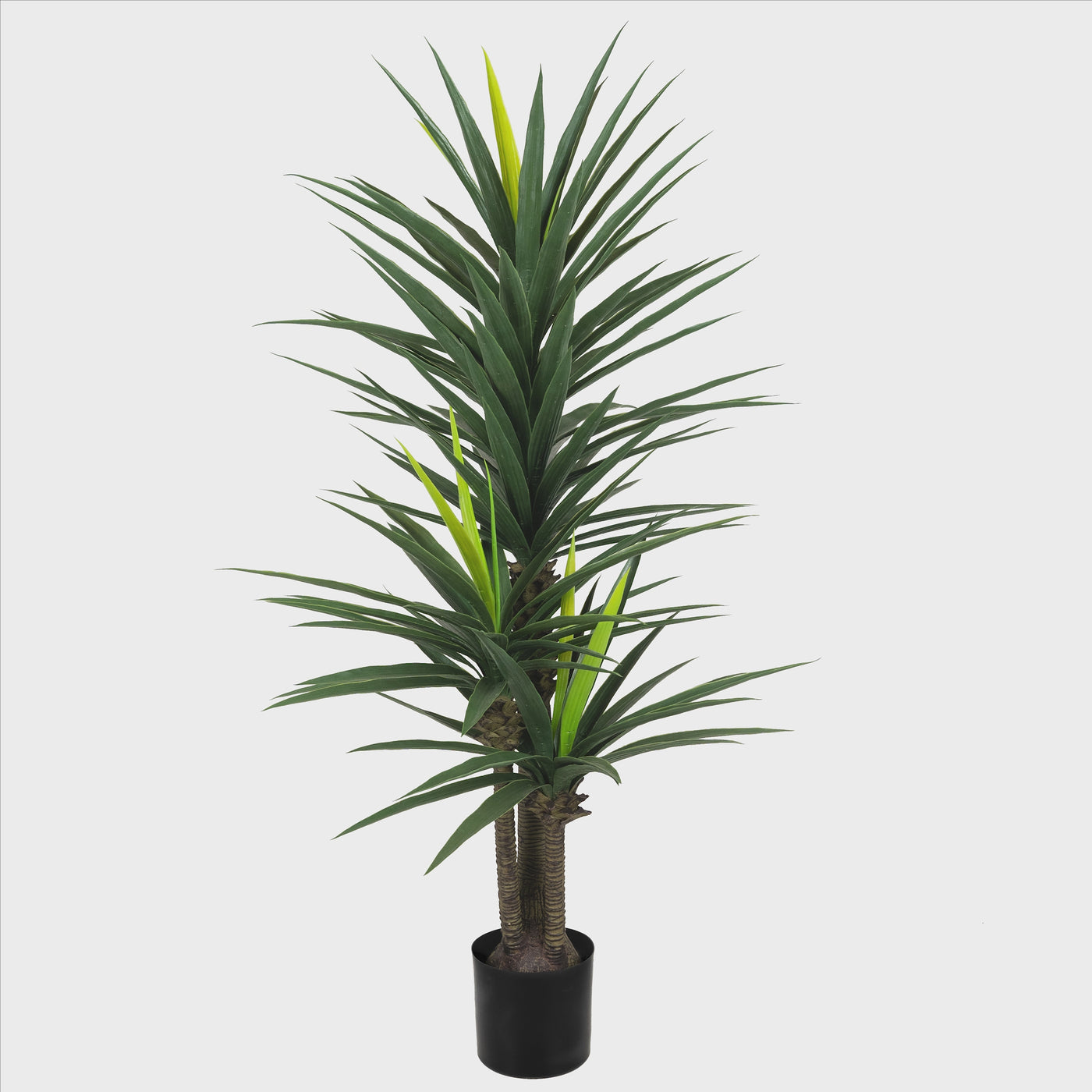 Planta artificiala H160cm Yucca elephantipes – Roberto Rossi