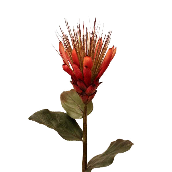 Protea artificiala portocalie D4xH80 cm HO