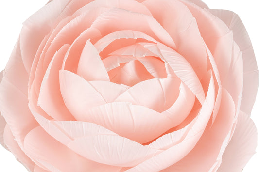 Ranunculus artificial D40xH125 cm roz deschis cu tulpina gigant XXL fara suport