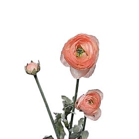 Ranunculus artificial roz-somon D4xH63 cm HO