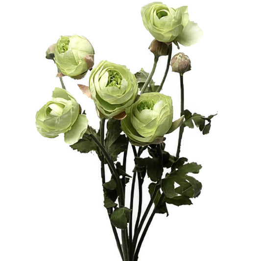 Ranunculus artificial verde H60 cm HO