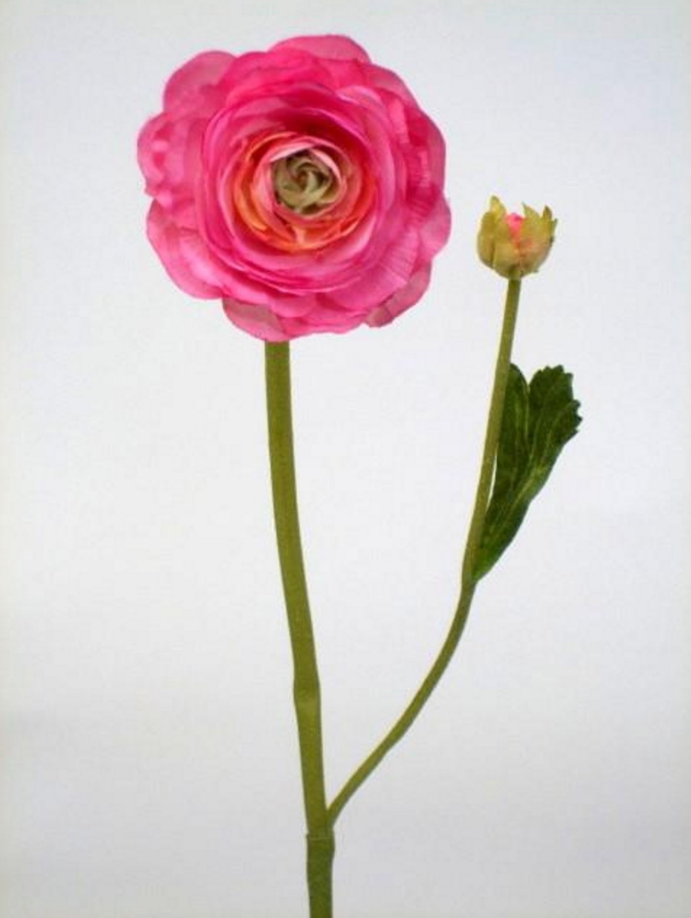 Ranunculus artificial roz D7x2xH45 cm HO
