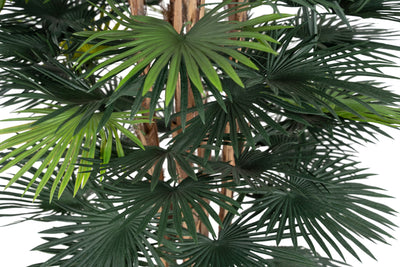 Palmier artificial Rhapis excelsa cu 86 frunze H150 cm cu protectie UV