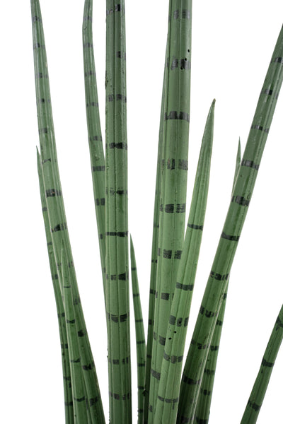 Sansevieria artificiala cilindrica cu 15 frunze H50 cm