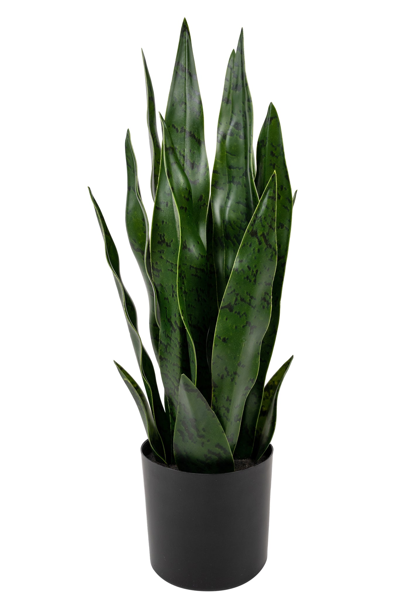 Sansevieria artificiala coral black cu 16 frunze H50 cm