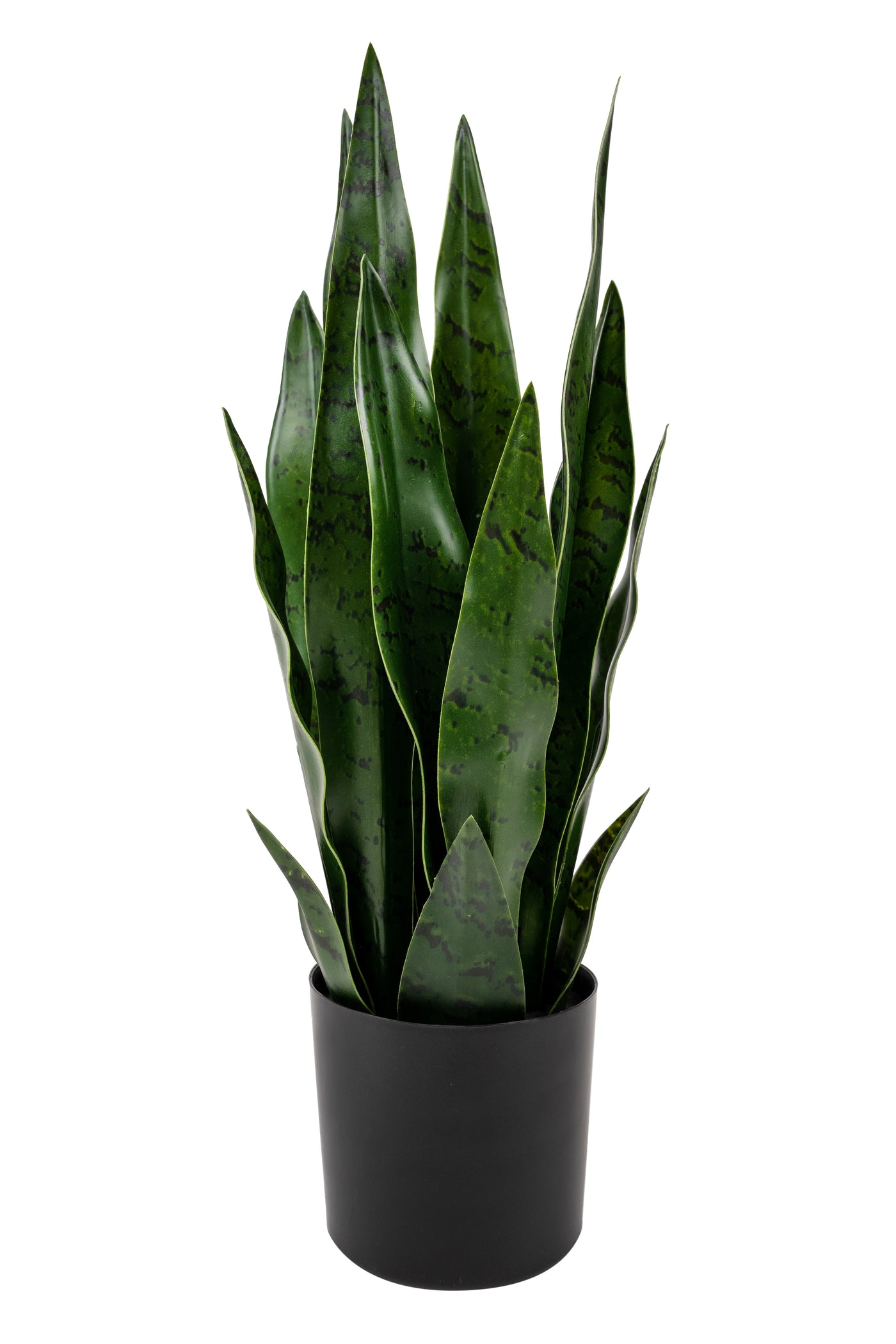 Sansevieria artificiala coral black cu 16 frunze H50 cm