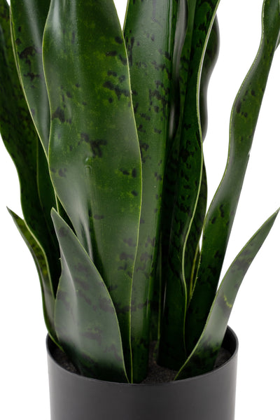 Sansevieria artificiala coral black cu 16 frunze H50 cm