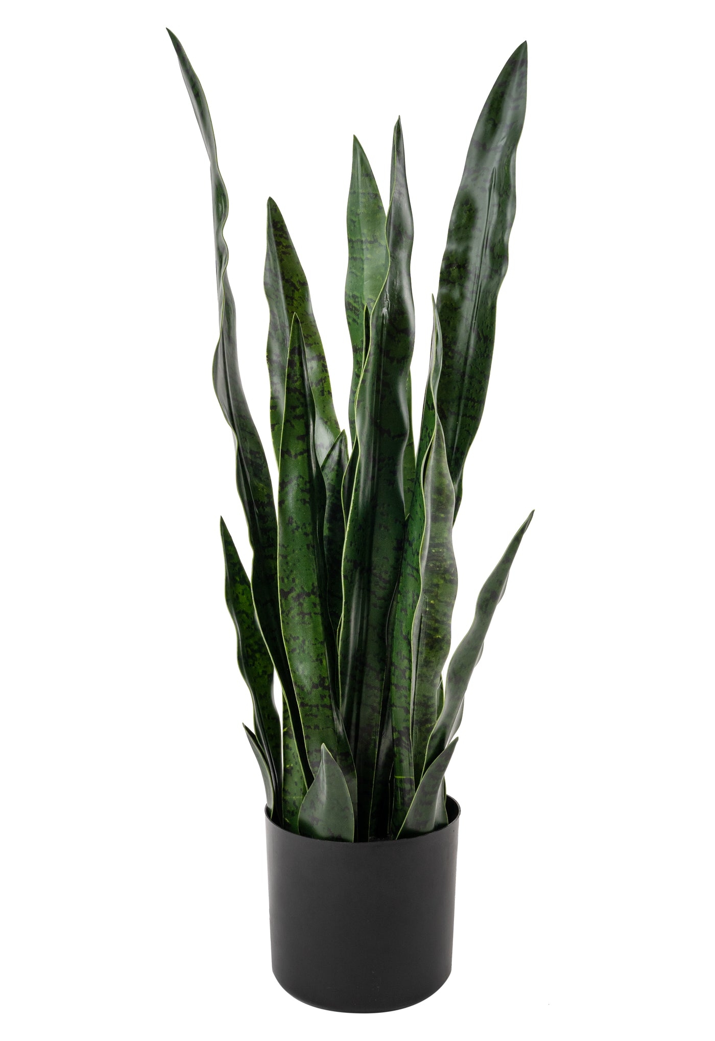 Sansevieria artificiala laurentii coral Black cu 20 frunze H70cm