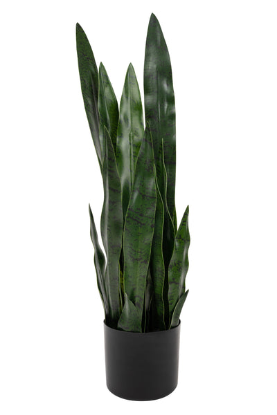 Sansevieria artificiala laurentii coral Black cu 20 frunze H70cm
