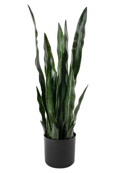 Sansevieria artificiala laurentii coral Black cu 20 frunze H80cm