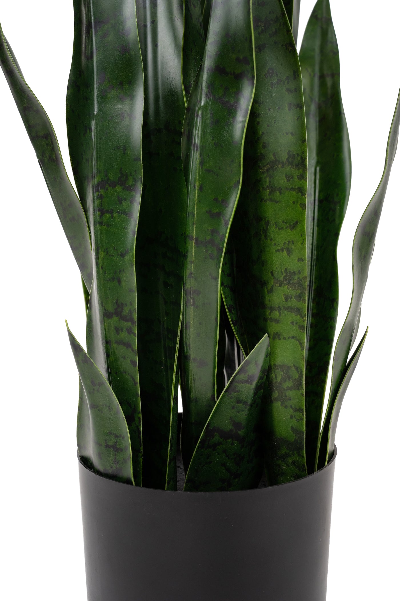 Sansevieria artificiala laurentii coral Black cu 20 frunze H80cm