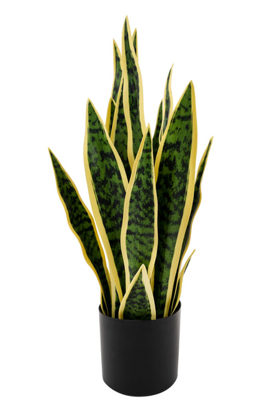 Sansevieria artificiala laurentii cu 16 frunze H50 cm