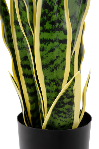 Sansevieria artificiala laurentii cu 16 frunze H50 cm