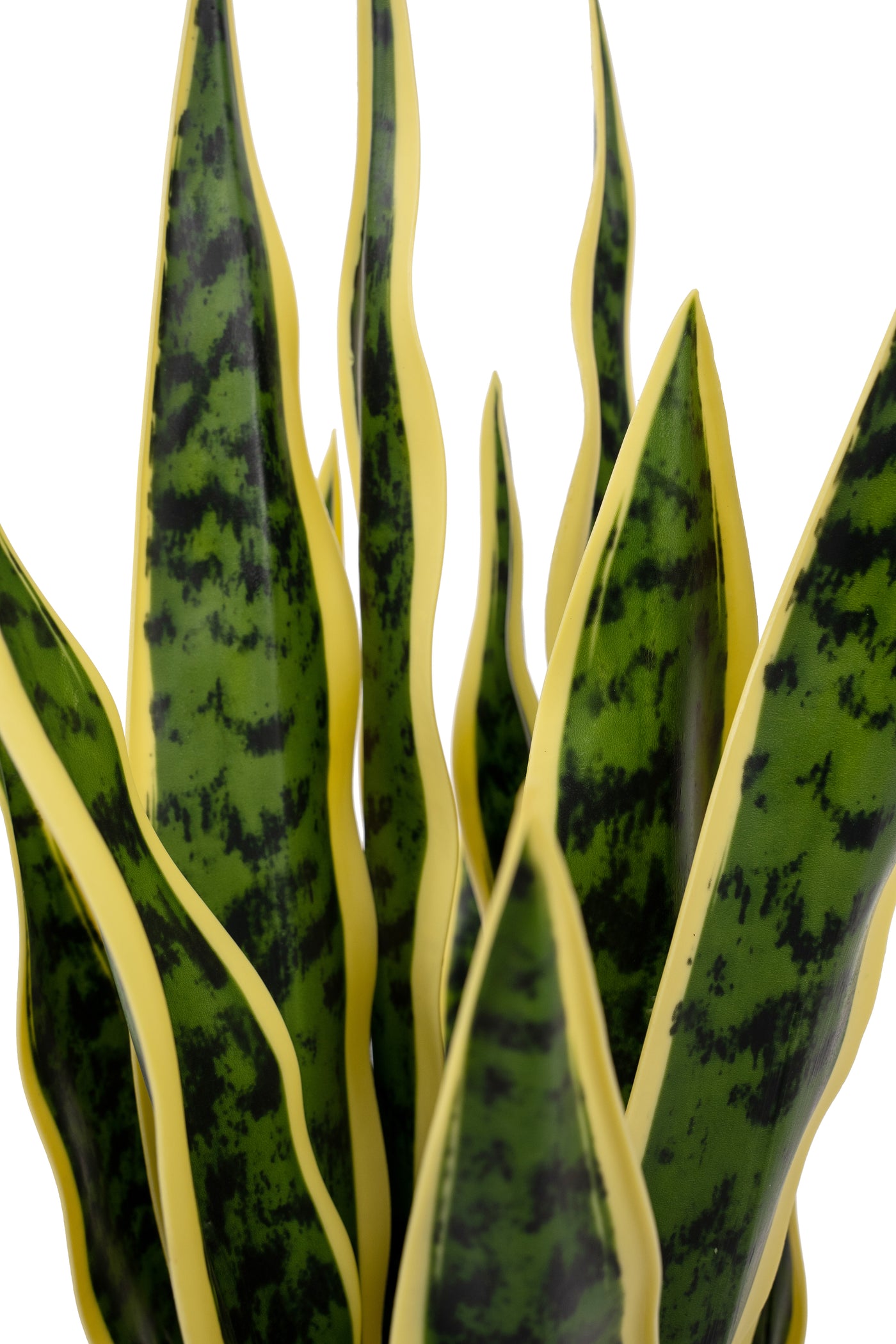 Sansevieria artificiala laurentii cu 16 frunze H50 cm