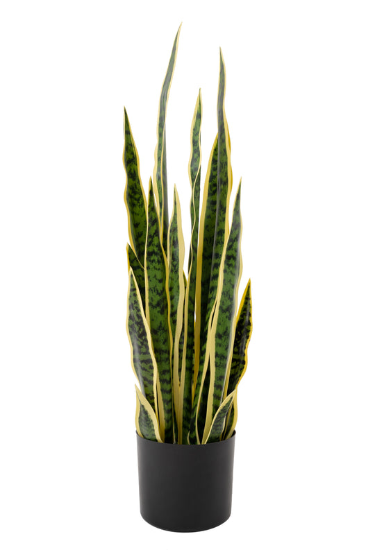 Sansevieria artificiala laurentii cu 20 frunze H70 cm