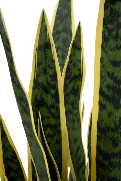 Sansevieria artificiala laurentii cu 20 frunze H80 cm