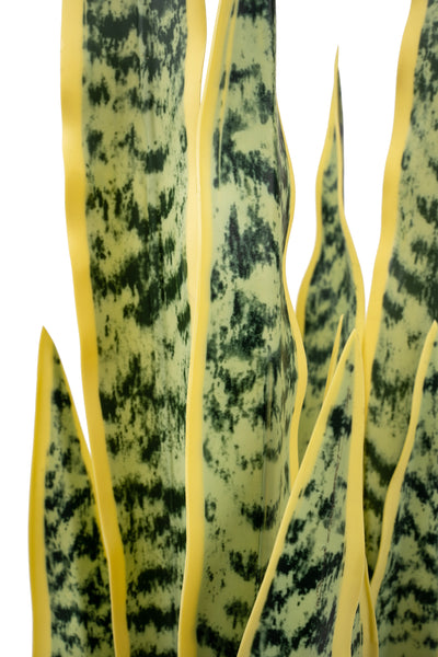Sansevieria artificiala zeylanica H70cm cu 20 frunze