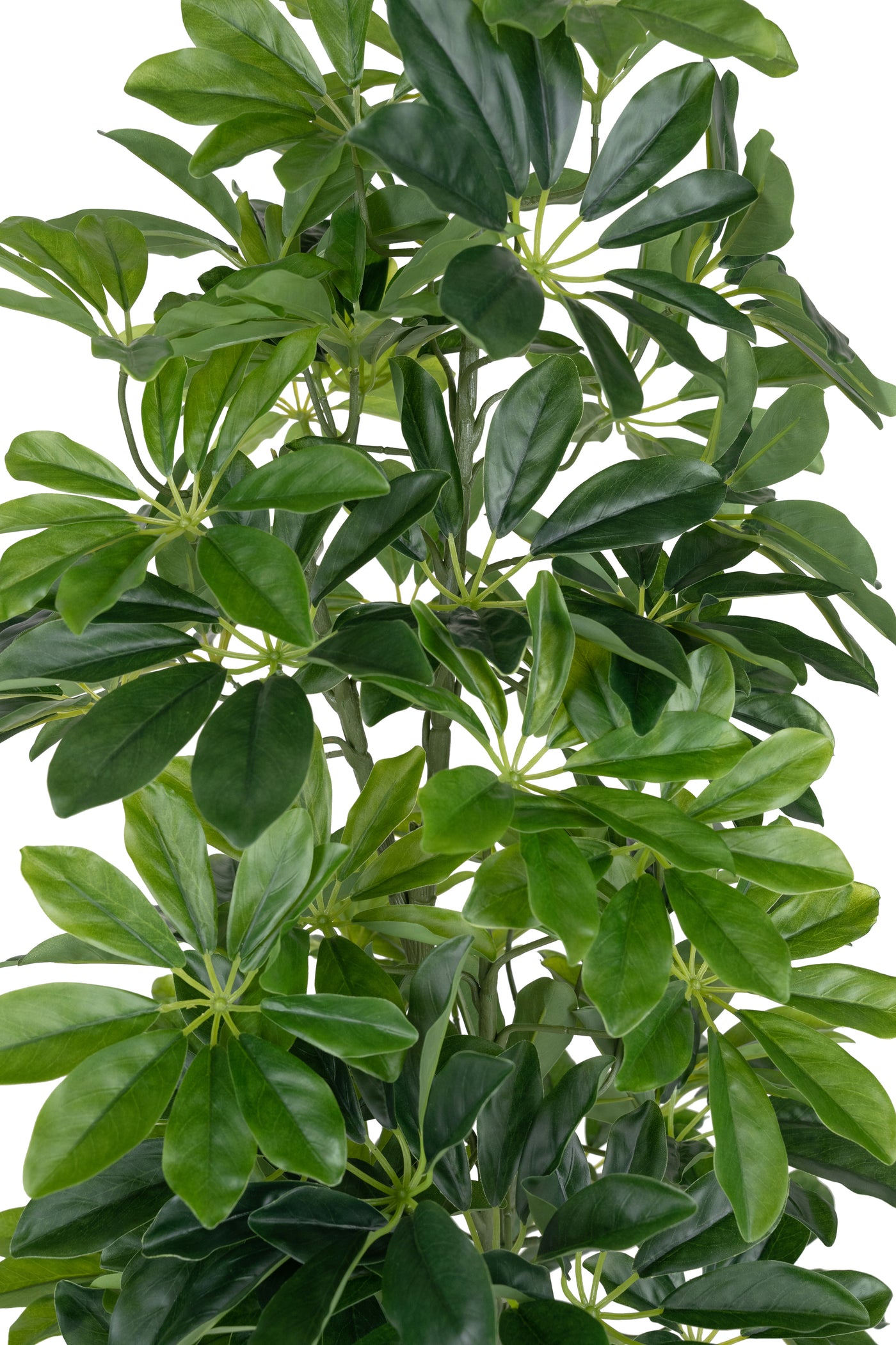 Planta artificiala H90cm Schefflera arboricola cu 591 frunze