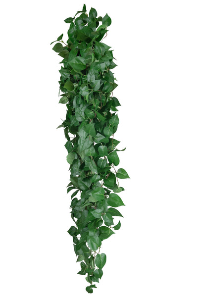 Scindapsus artificial 180 cm cu 850 frunze. verde deschis