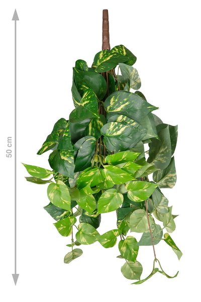 Scindapsus artificial 50 cm cu 128 frunze. verde - galben