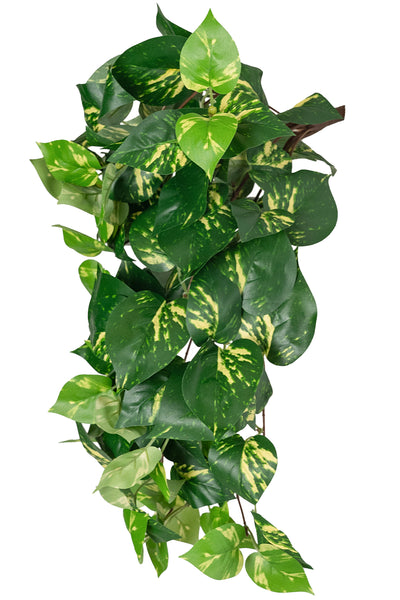 Scindapsus artificial 50 cm cu 128 frunze. verde - galben