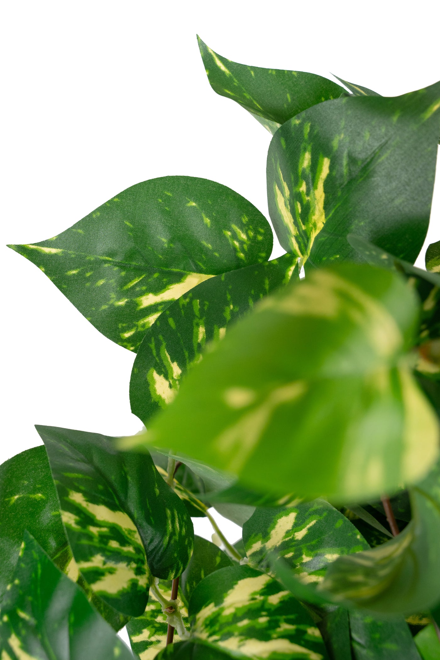 Scindapsus artificial 50 cm cu 128 frunze. verde - galben