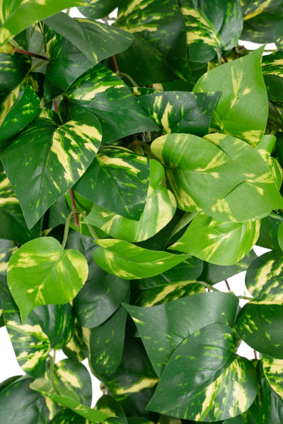 Scindapsus artificial 50 cm cu 128 frunze. verde - galben