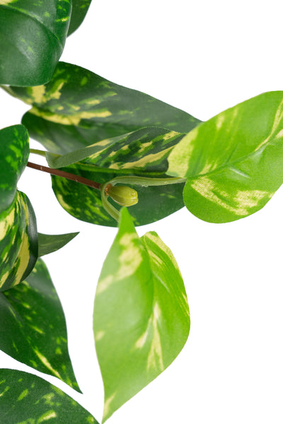 Scindapsus artificial 50 cm cu 128 frunze. verde - galben