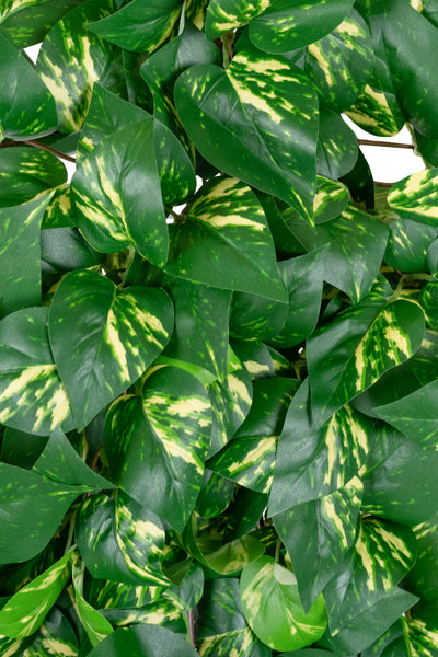 Scindapsus artificial 90 cm cu 352 frunze. verde - galben