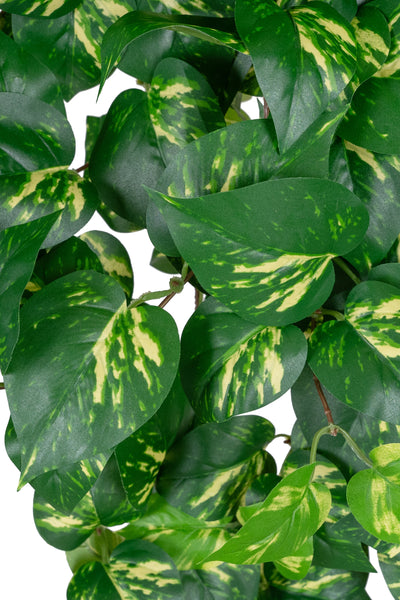 Scindapsus artificial 90 cm cu 352 frunze. verde - galben