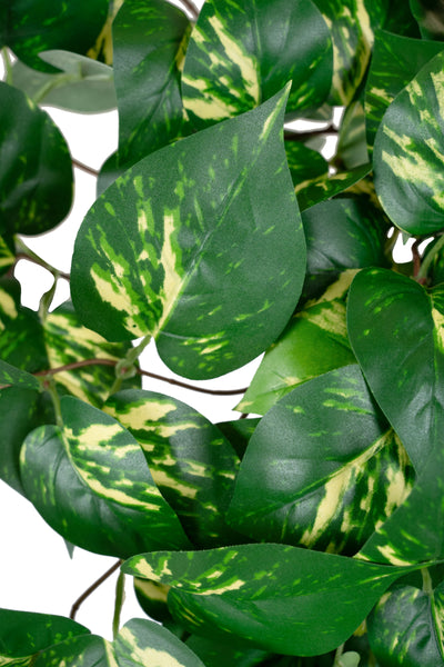 Scindapsus artificial 90 cm cu 352 frunze. verde - galben