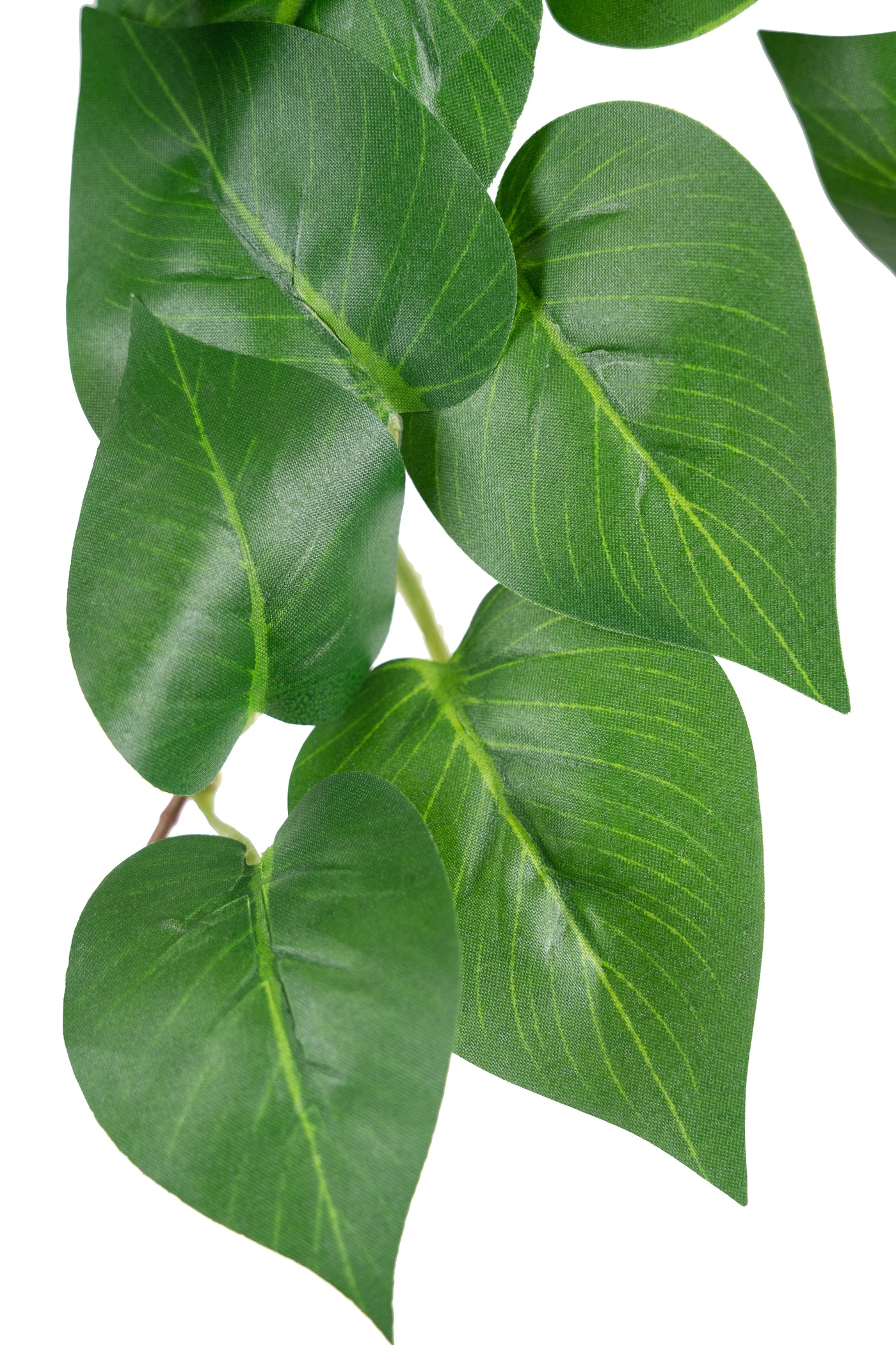 Scindapsus artificial W50xH70 cm cu 202 frunze. verde deschis