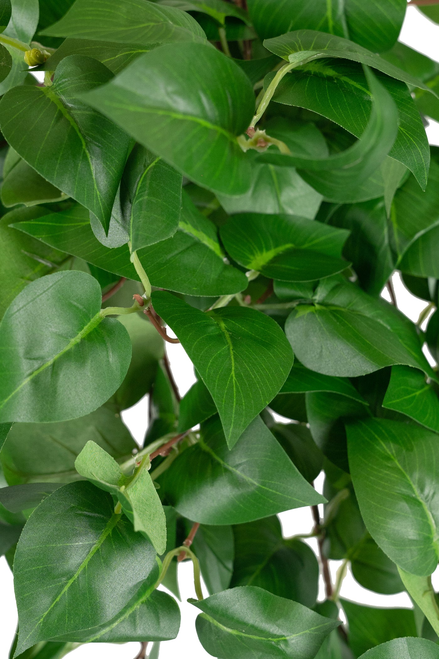 Scindapsus artificial W50xH70 cm cu 202 frunze. verde deschis