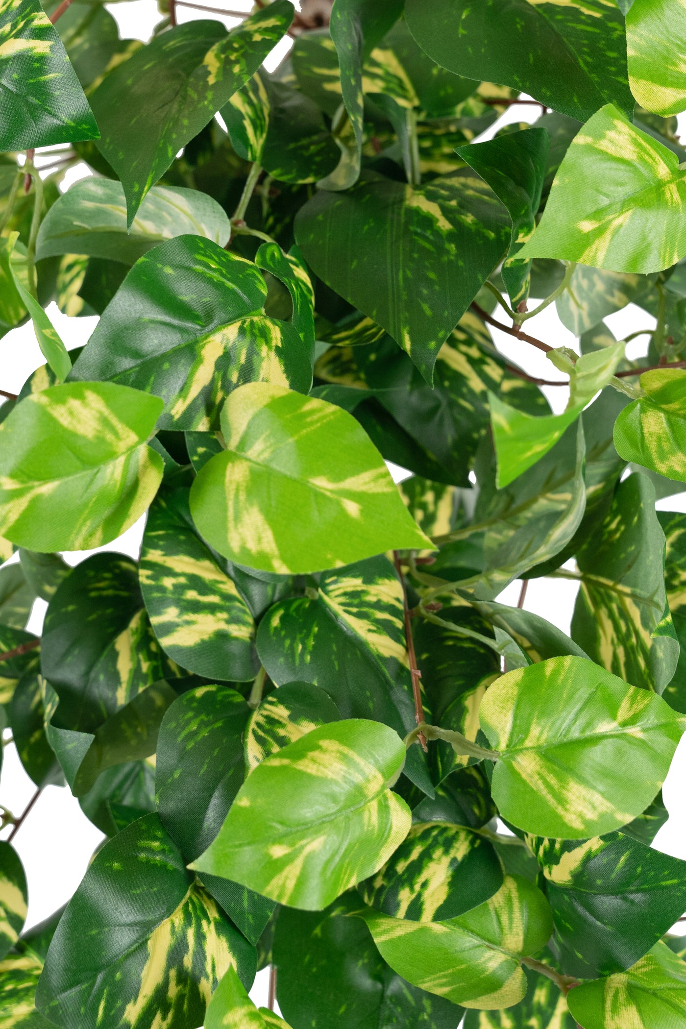 Scindapsus artificial W50xH70 cm cu 202 frunze. verde - galben