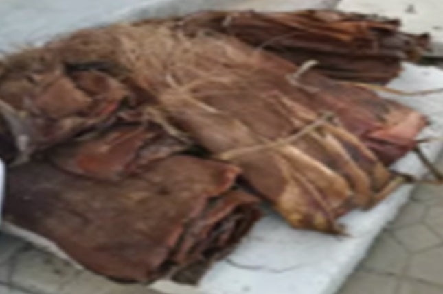 Scoarta artificiala de palmier