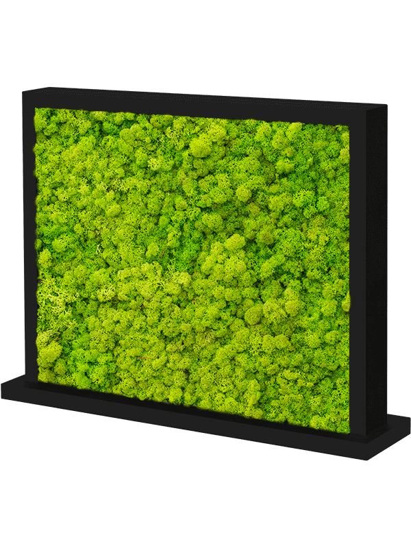 Separator L70xW70xH60cm MDF Ral 9005 Satingloss Two-sided Reindeer moss(Spring green)