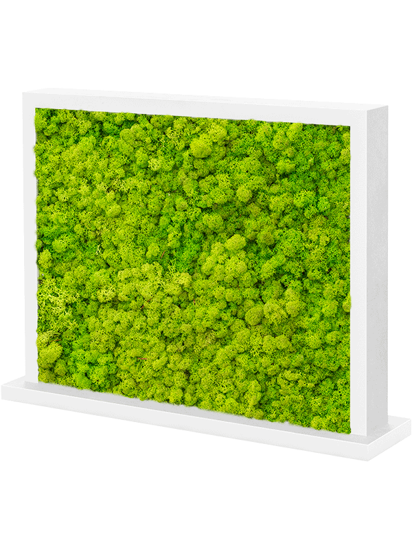 Separator L70xW70xH60cm MDF Ral 9010 Satingloss Two-sided Reindeer moss(Spring green)